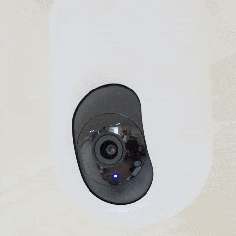 Spy Cam Detector